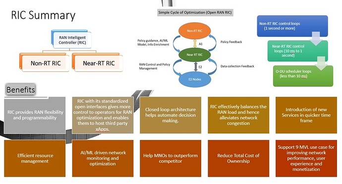 Open RAN RIC Summary