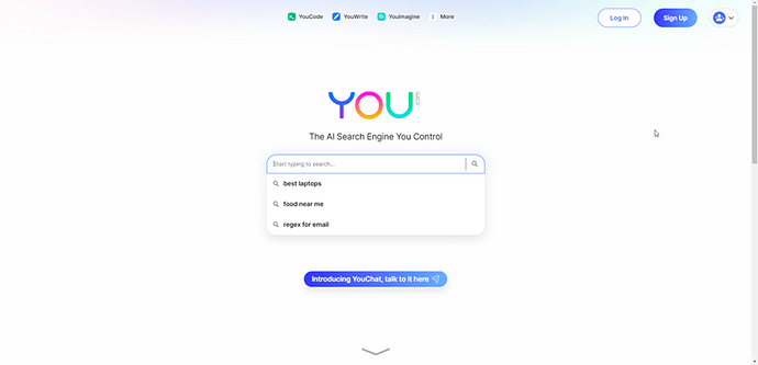 You.com: The AI Search Engine You Control
