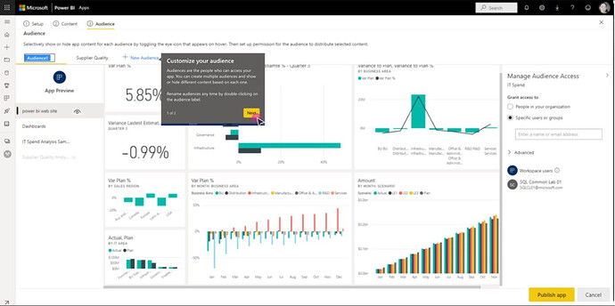 Multiple Audiences for Power BI Apps