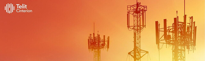 2G and 3G Sunsets: The Role of Cat 1 and Cat 1 Bis