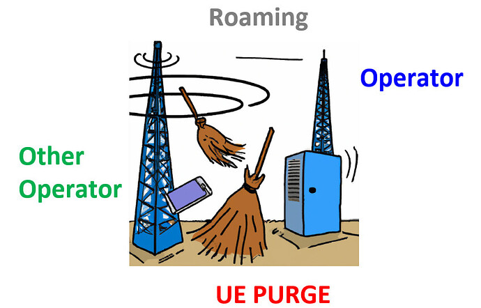 Purge UE on Roaming