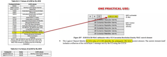 Practical Meaning of LCID