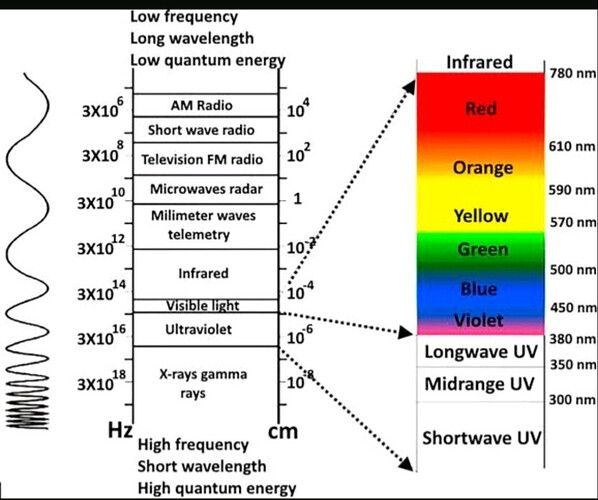 What's the differences between SM & MM optical fiber and it's application scenarios