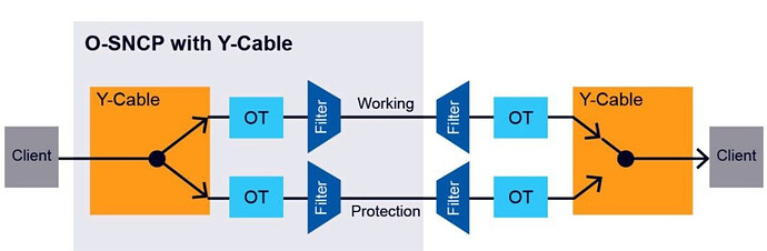 What's is O-SNCP in WDM and how it works