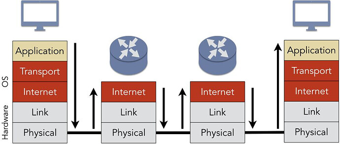 IP transmission - the process of sending IP packets over a network