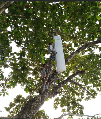 eco-friendly, tree-mounted 5G site