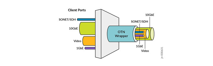 Key Component in Optical Networks: The Universal Line Boardt