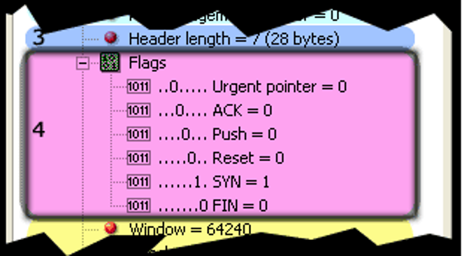 What are TCP Flags