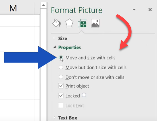 Set Image Properties to "Move and size with cells"