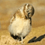 Emmanuel_Cavalcante
