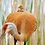 Malay_Sah
