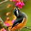 qudratullah_ehsan