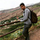 Sameh